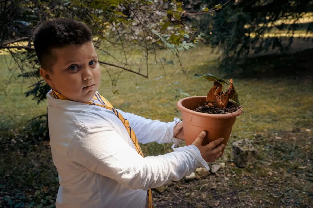 Cura delle Creature Magiche Materia magica: Cura delle Creature Magiche